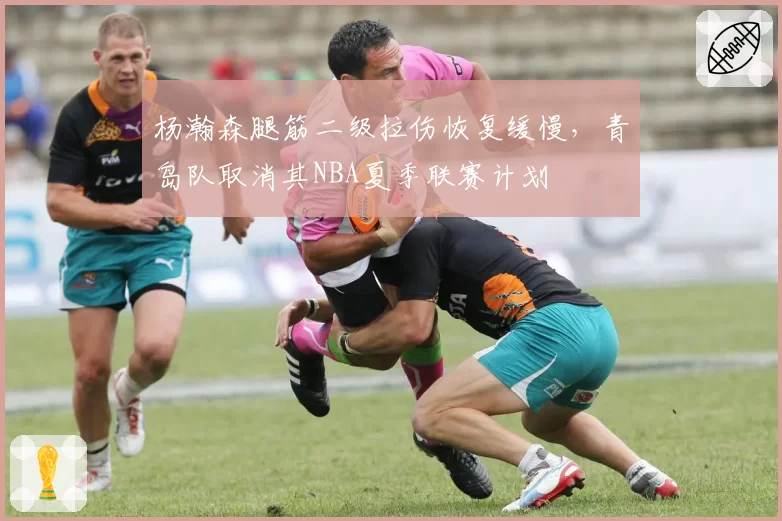 杨瀚森腿筋二级拉伤恢复缓慢,青岛队取消其NBA夏季联赛计划