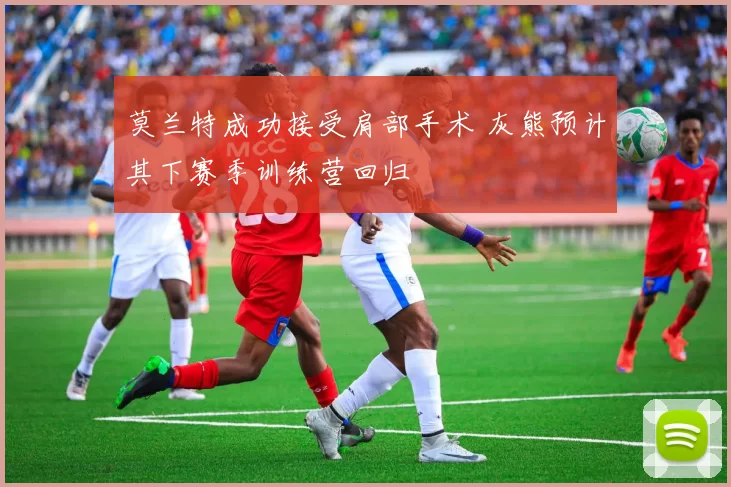 莫兰特成功接受肩部手术 灰熊预计其下赛季训练营回归