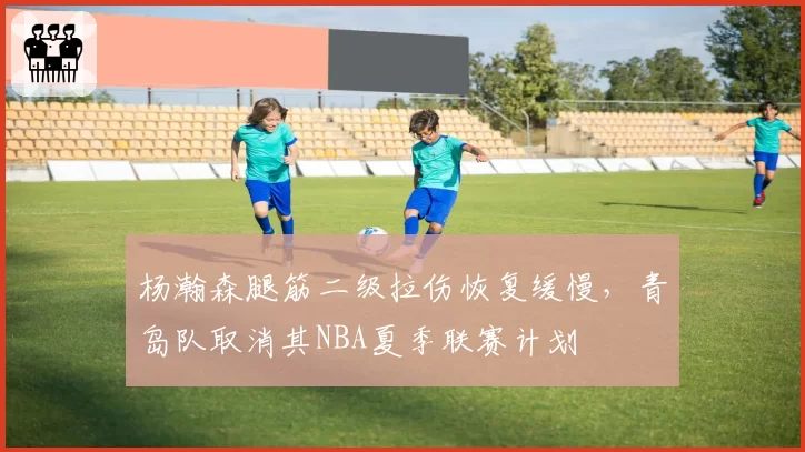 杨瀚森腿筋二级拉伤恢复缓慢,青岛队取消其NBA夏季联赛计划