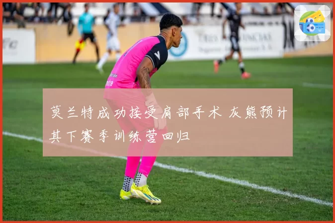 莫兰特成功接受肩部手术 灰熊预计其下赛季训练营回归